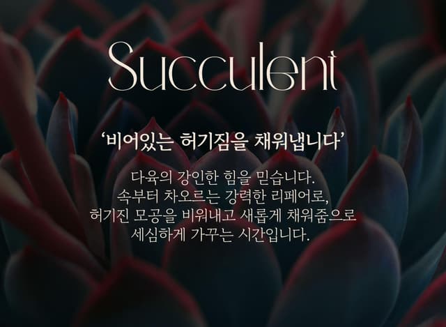Succulent