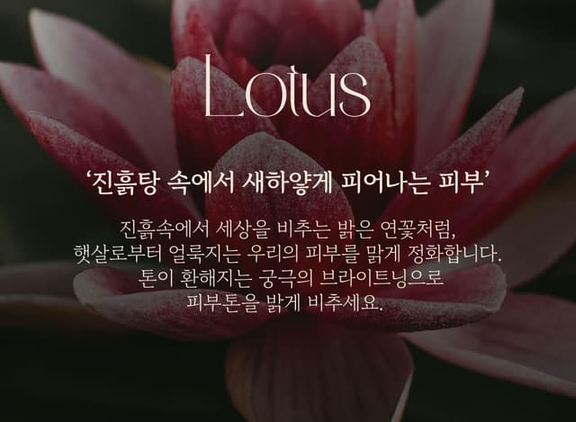 Lotus
