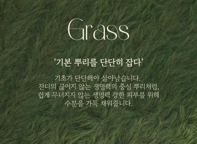 Grass