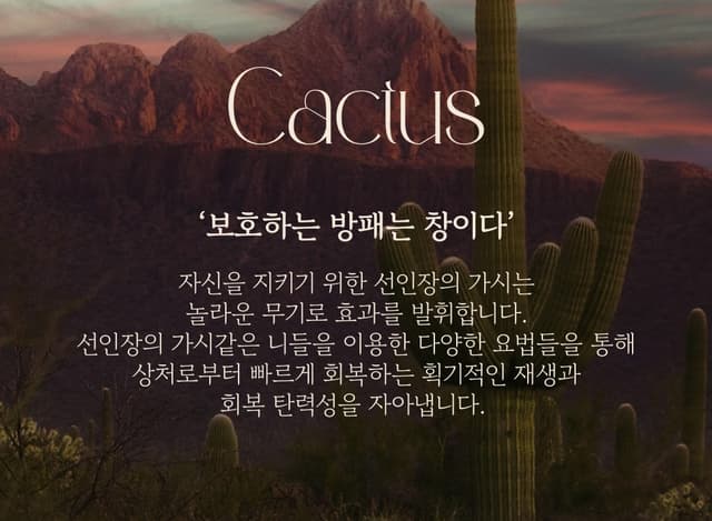 Cactus