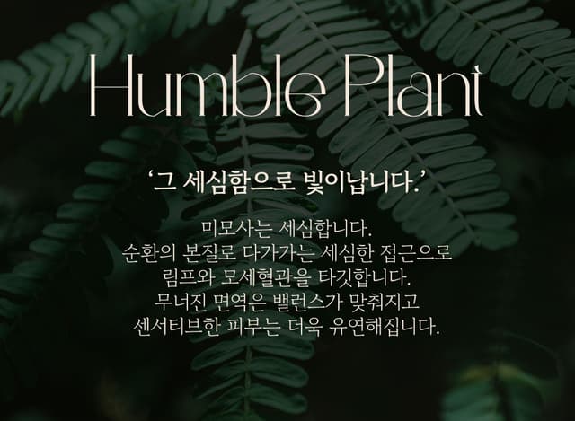 Humble Plant