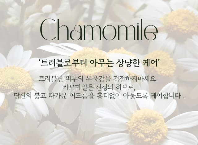 Chamomile