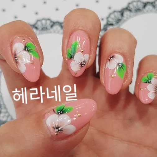 젤