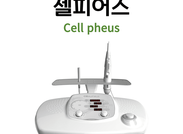 셀피어스