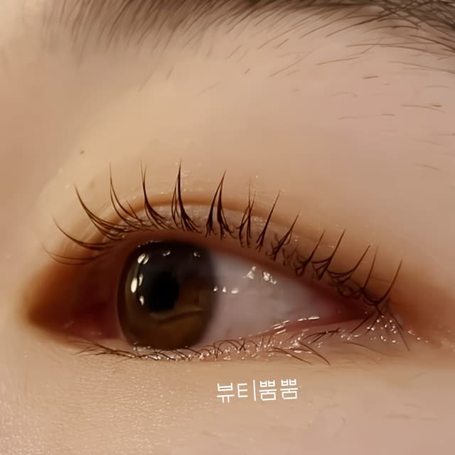 손상속눈썹 복구펌