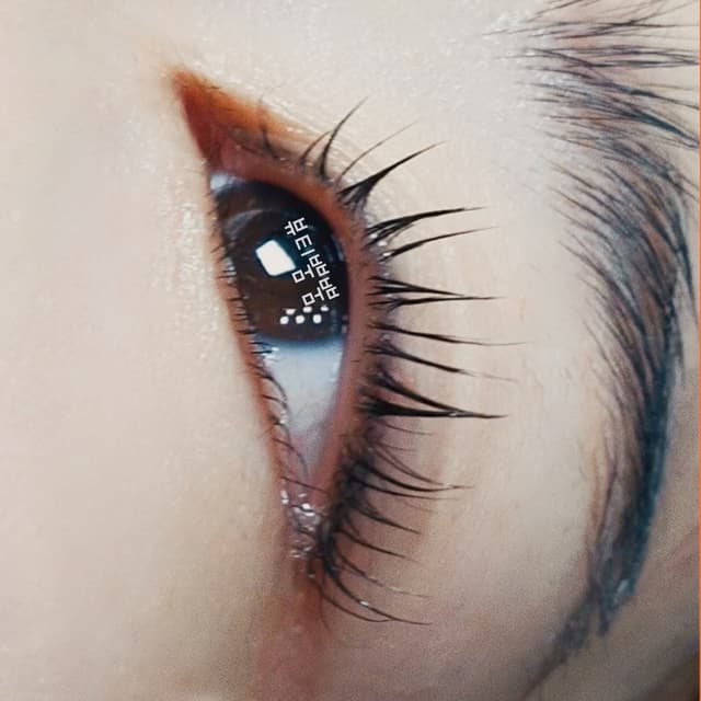 속눈썹 블랙틴팅 펌