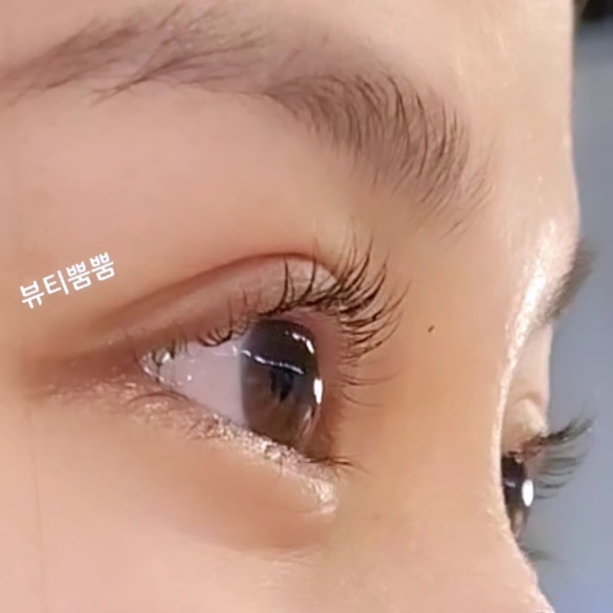 듀얼 블랙틴팅 펌