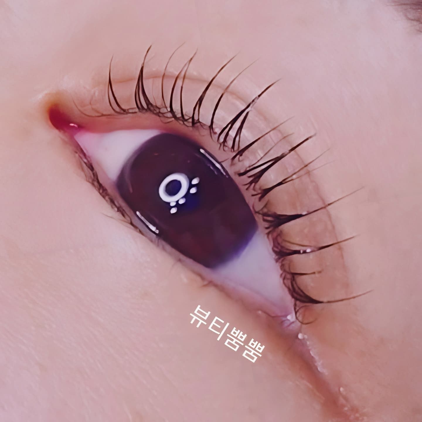 속눈썹펌(맞춤디자인+영양+손상×)