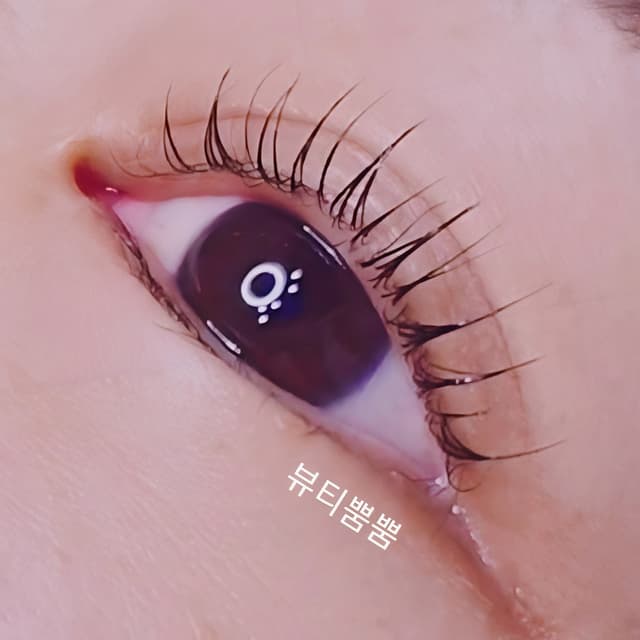 속눈썹펌(맞춤디자인+영양+손상×)