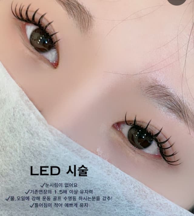 보떼 LED 프리미엄 래쉬