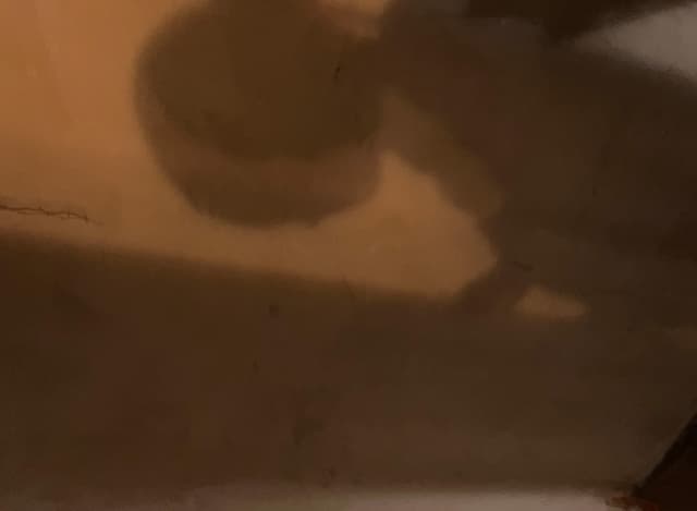 눈썹 왁싱