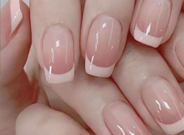  디자인 그라데이션(비회원)
