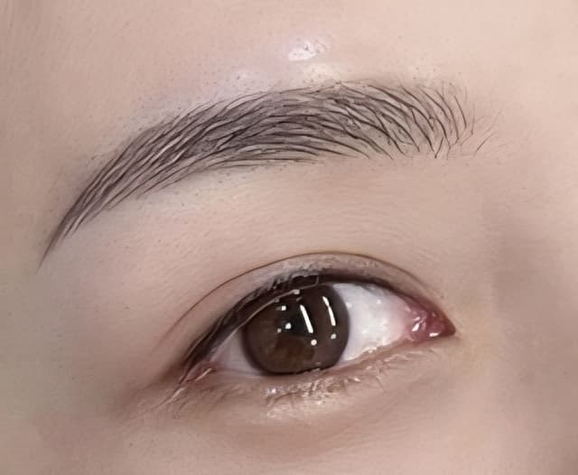자연눈썹