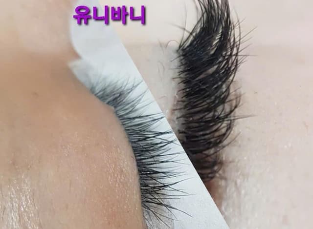 민크속눈썹연장 100%