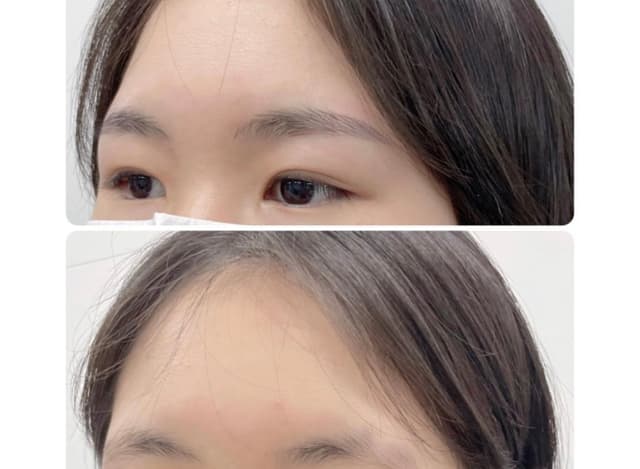 자연 눈썹