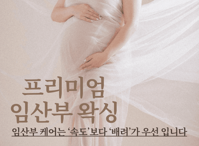 임산부 브라질리언 (프리미엄)