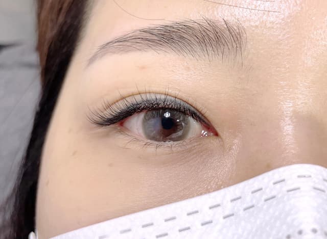 샤프