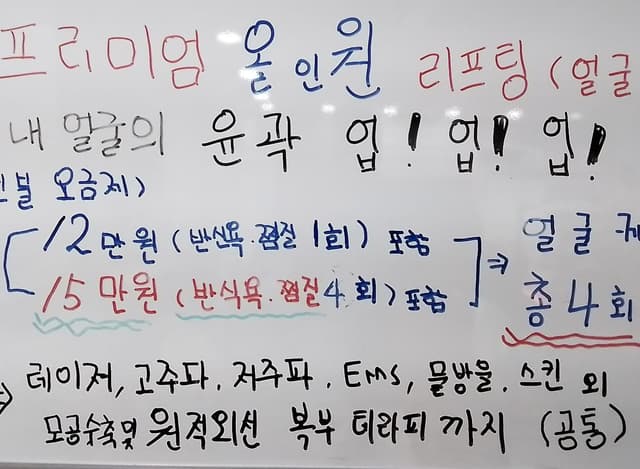 프리미엄 올인원 리프팅 에스테딕 (얼굴)