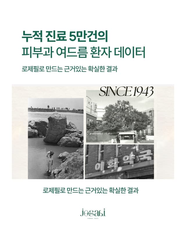 조가비 로제필 