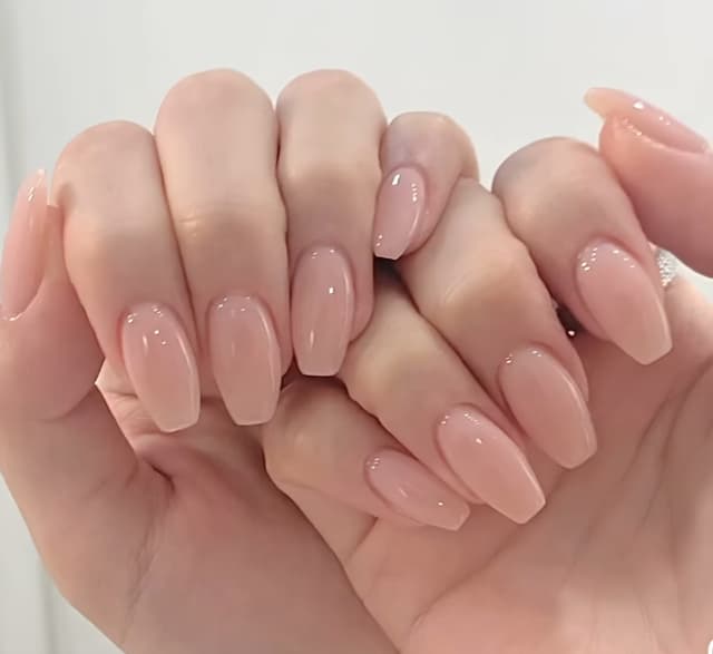 손기본젤