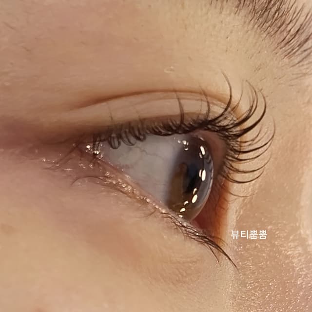 듀얼속눈펌+영양+디자인