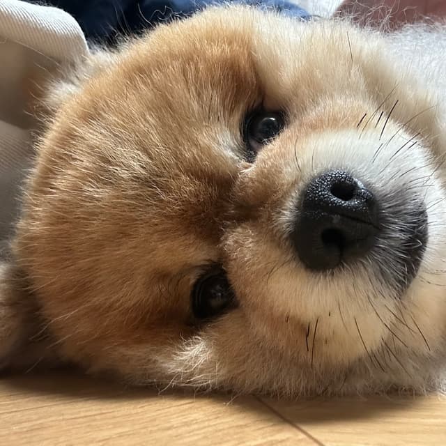 프로필 이미지