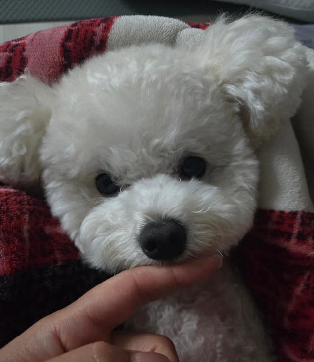 프로필 이미지