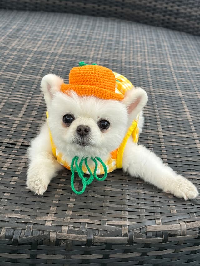 프로필 이미지