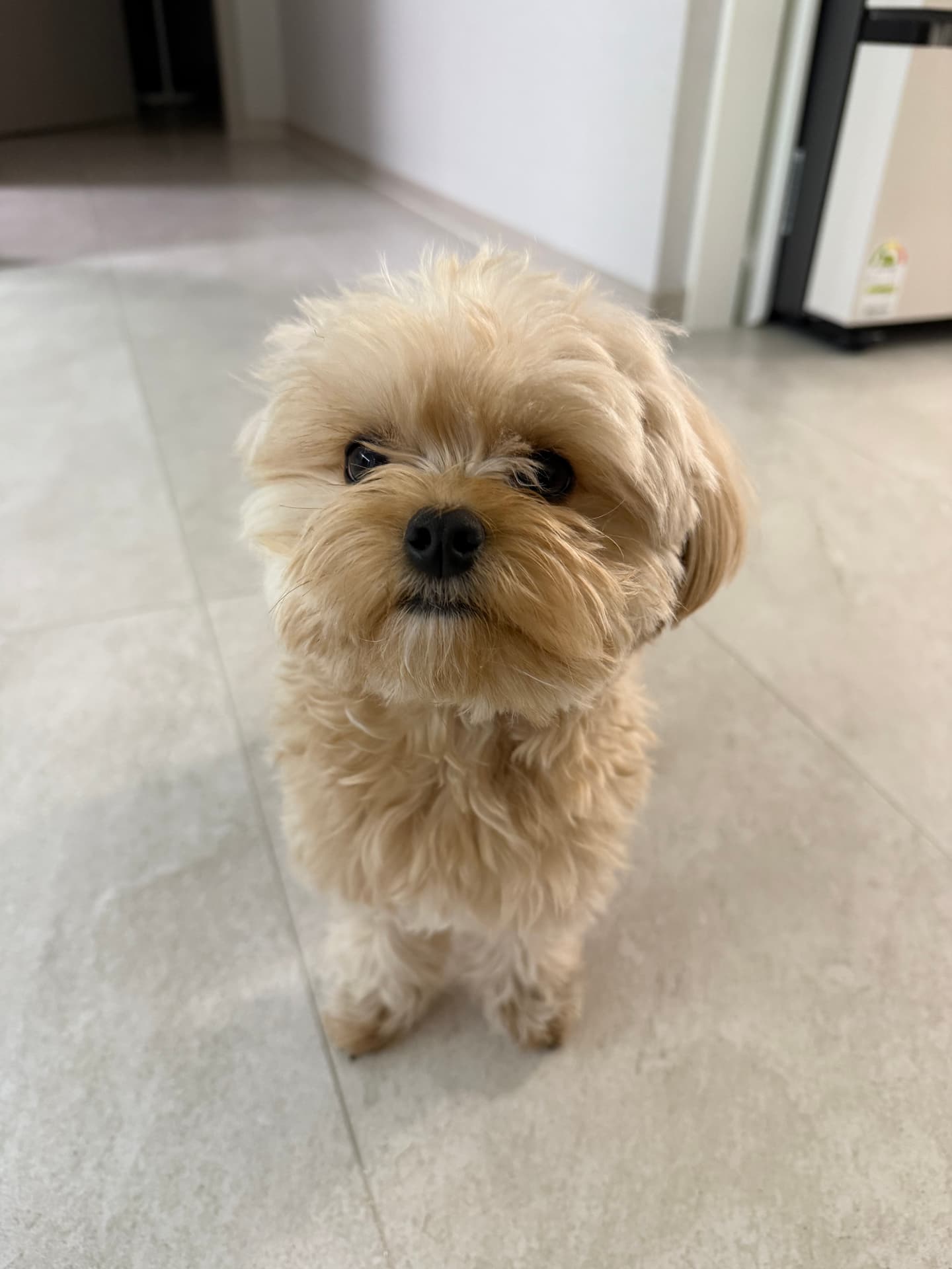 프로필 이미지