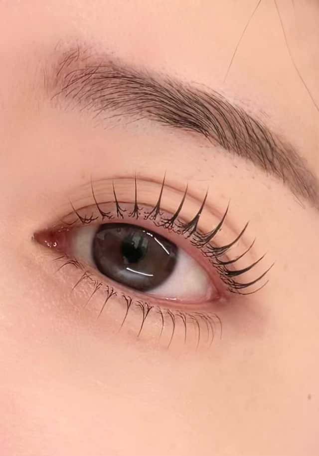 더니즈래쉬