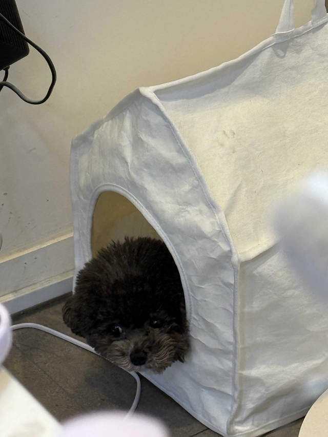 샵 후기 이미지