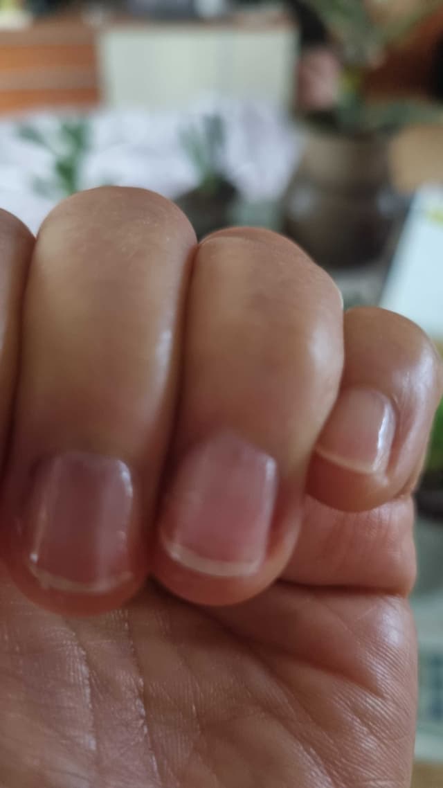 샵 후기 이미지