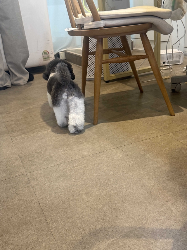 샵 후기 이미지