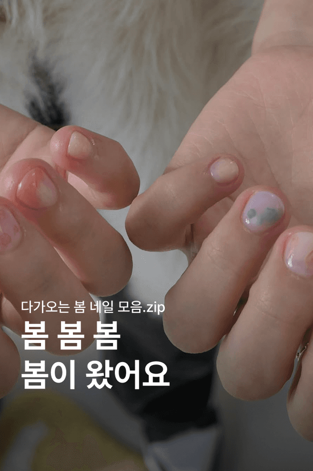 네일북 이미지