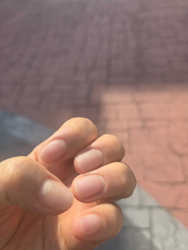 샵 후기 이미지