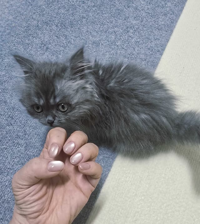 샵 후기 이미지