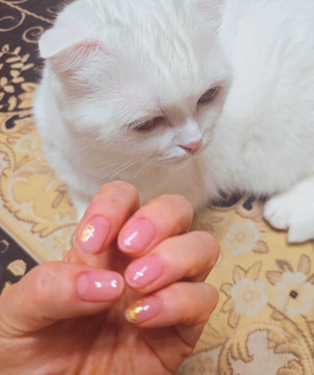 샵 후기 이미지