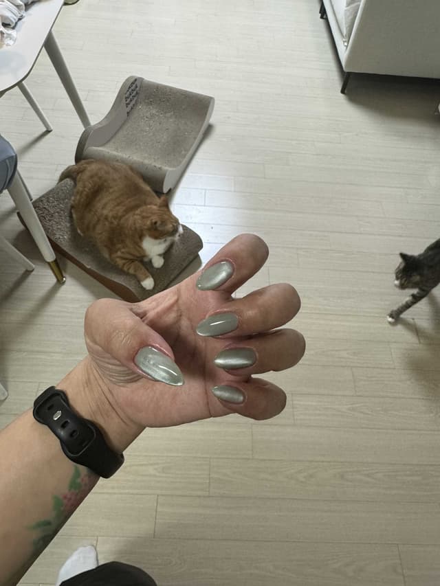 샵 후기 이미지