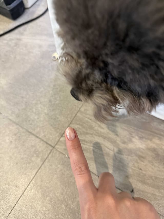 샵 후기 이미지