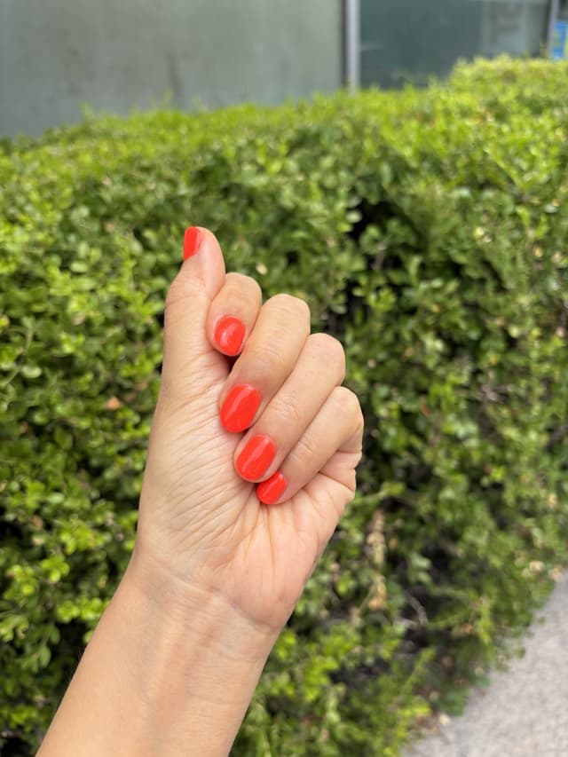 샵 후기 이미지