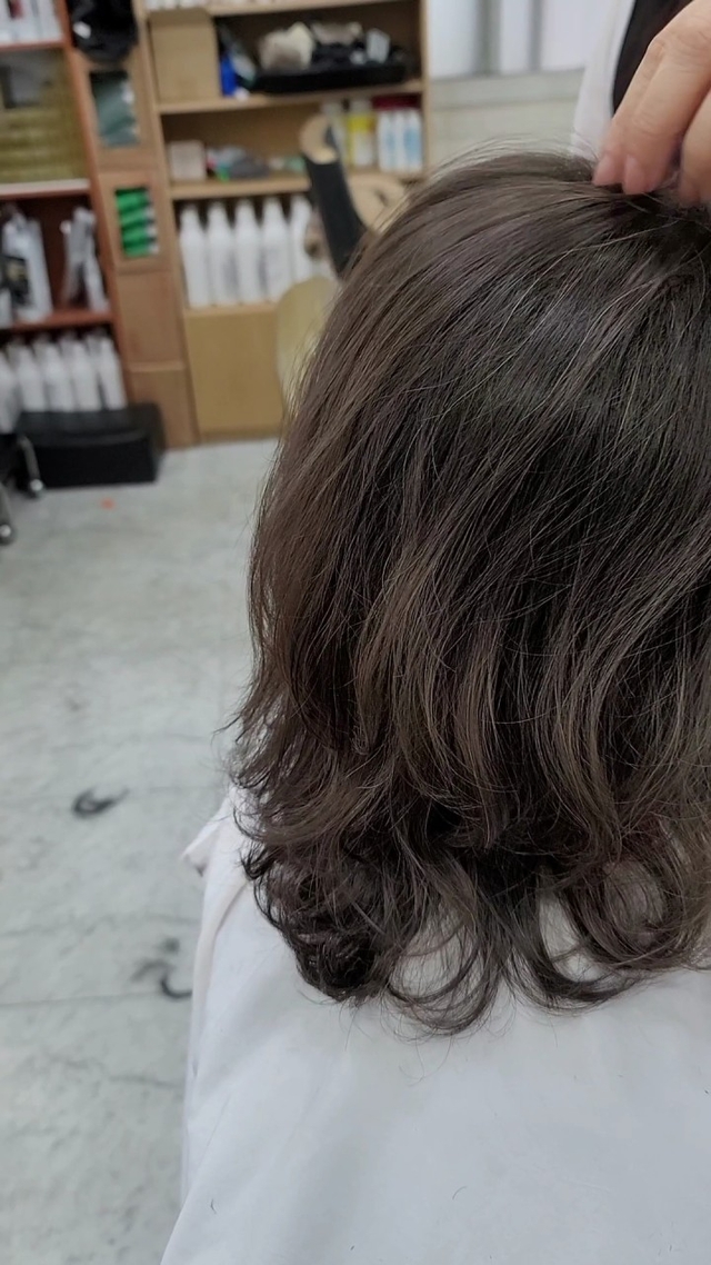 모델와이즈헤어